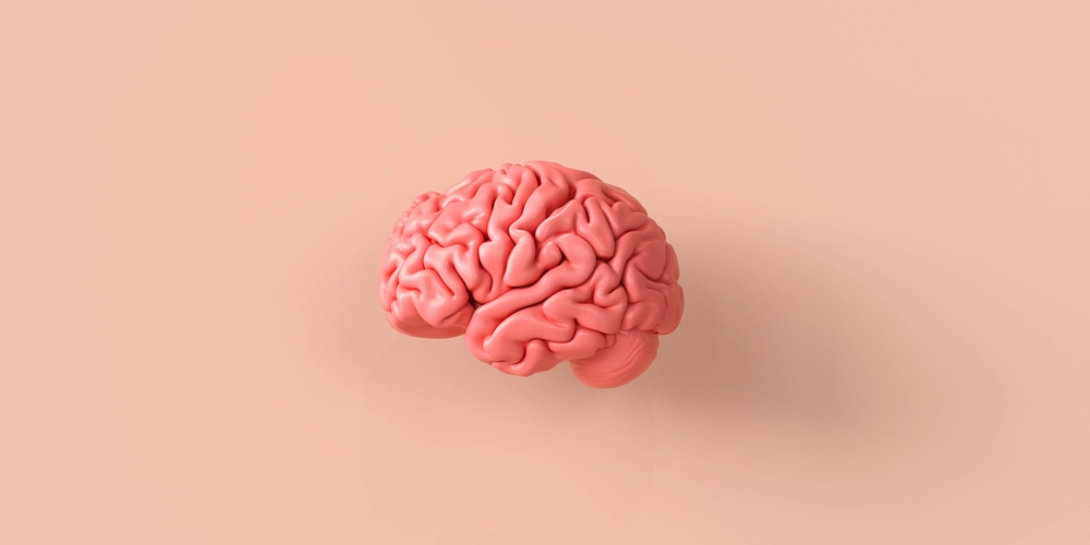 deep brain simulation dbs surgery beyin pili ameliyati